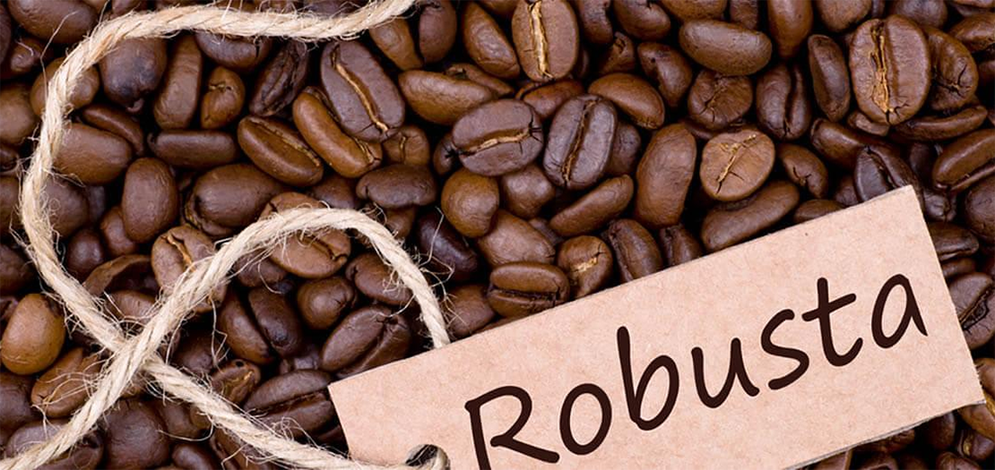 cafe robusta